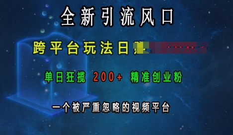 全新引流风口，跨平台玩法日入上k，单日狂揽200+精准创业粉，一个被严重忽略的视频平台-云泽轻创网