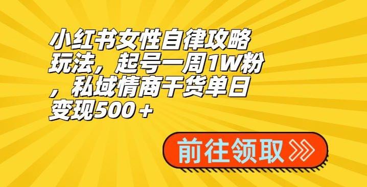 小红书女性自律攻略玩法，起号一周1W粉，私域情商干货单日变现500＋-云泽轻创网