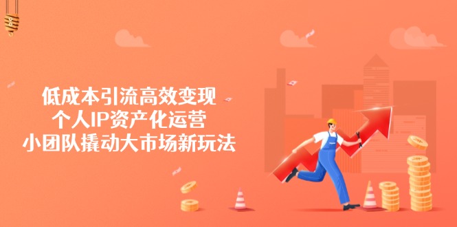 低成本引流高效变现，个人IP资产化运营，小团队撬动大市场新玩法-云泽轻创网