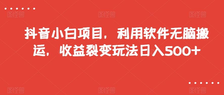抖音小白项目，利用软件无脑搬运，收益裂变玩法日入500+【揭秘】-云泽轻创网