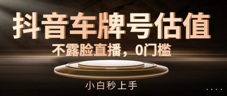 抖音车牌号估值，不露脸直播，0门槛，小白秒上手【揭秘】-云泽轻创网