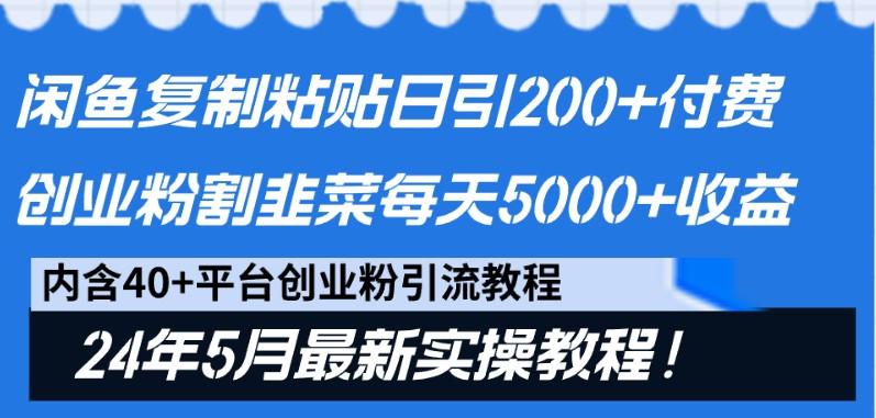 闲鱼复制粘贴日引200+付费创业粉，24年5月最新方法！割韭菜日稳定5000+收益-云泽轻创网