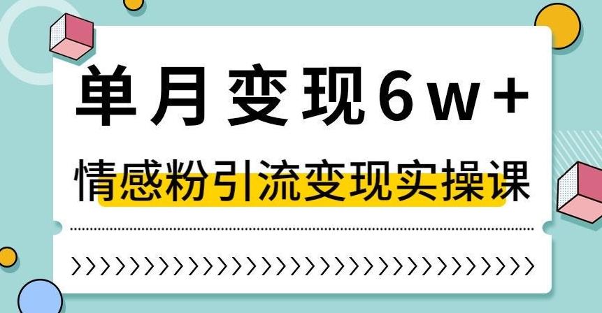单月变现6W+，抖音情感粉引流变现实操课，小白可做，轻松上手，独家赛道【揭秘】-云泽轻创网
