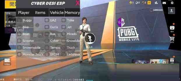 PUBG轻量老外裸奔绘制+自瞄 支持ROOT和框架 里面有全局离线-云泽轻创网