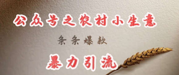deepseek写农村小项目，条条爆款，暴力引流-云泽轻创网