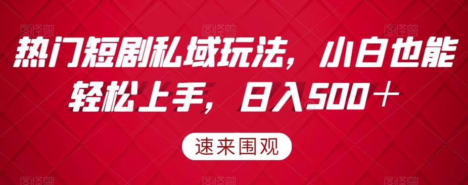 热门短剧私域玩法，小白也能轻松上手，日入500＋-云泽轻创网