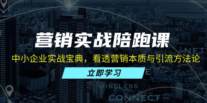 营销实战陪跑课：中小企业实战宝典，看透营销本质与引流方法论-云泽轻创网