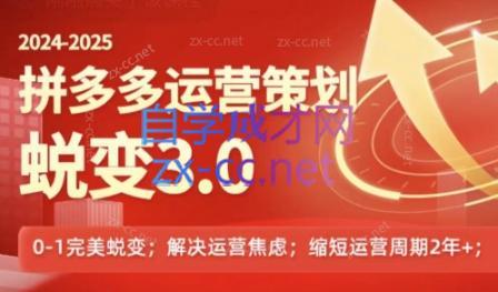 大力老师·2024拼多多运营策略蜕变3.0-云泽轻创网
