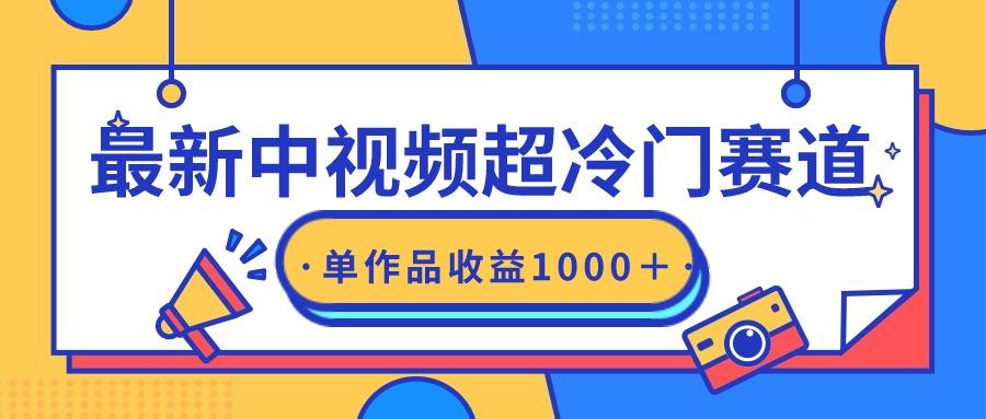 (9275期)最新中视频超冷门赛道，轻松过原创，单条视频收益1000＋-云泽轻创网