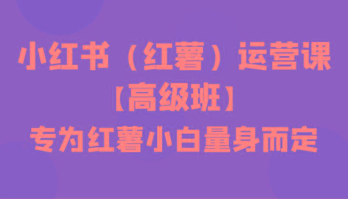 小红书(红薯)运营课【高级班】，专为红薯小白量身而定(42节课)-云泽轻创网