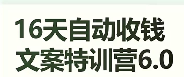 16天自动收钱文案特训营6.0，学会儿每天自动咔咔收钱-云泽轻创网