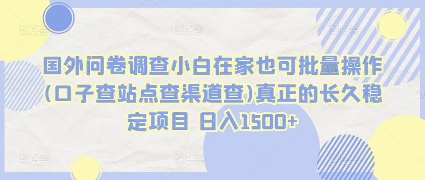 国外问卷调查小白在家也可批量操作(口子查站点查渠道查)真正的长久稳定项目 日入1500+【揭秘】-云泽轻创网