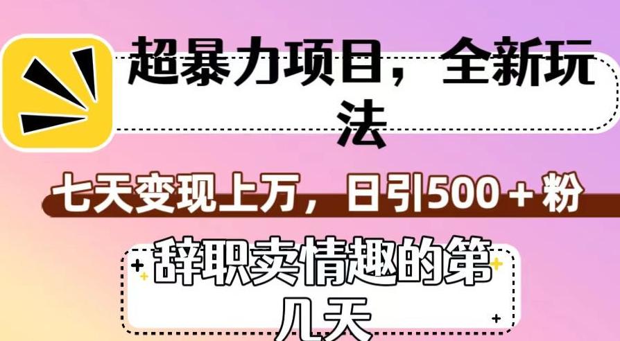超暴利项目，全新玩法（辞职卖情趣的第几天），七天变现上万，日引500+粉【揭秘】-云泽轻创网