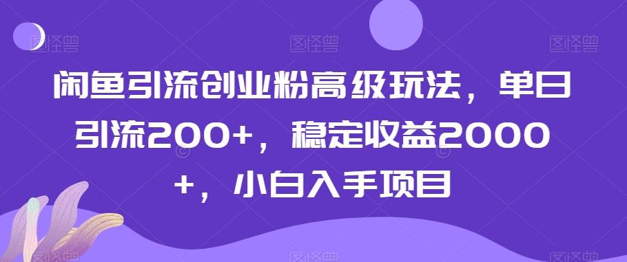 闲鱼引流创业粉高级玩法，单日引流200+，稳定收益2000+，小白入手项目-云泽轻创网