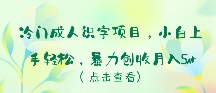 冷门成人识字项目，小白上手轻松，暴力创收月入5w+【揭秘】-云泽轻创网