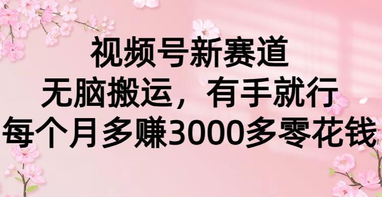 (9278期)视频号新赛道，无脑搬运，有手就行，每个月多赚3000多零花钱-云泽轻创网