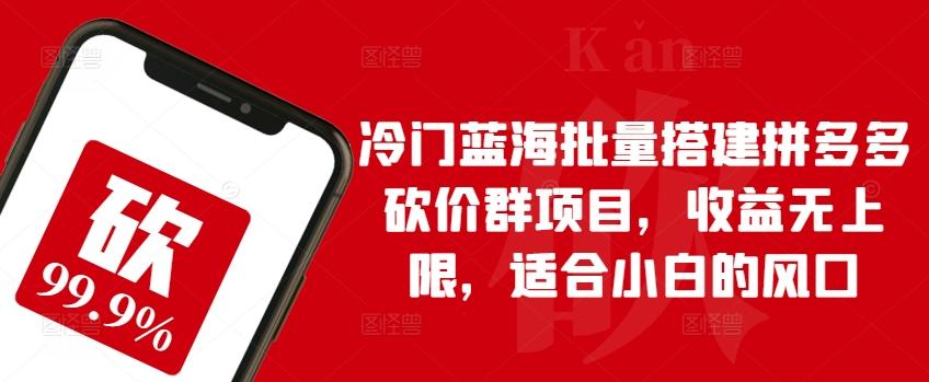 冷门蓝海批量搭建拼多多砍价群项目，收益无上限，适合小白的风口【揭秘】-云泽轻创网