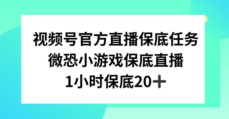 视频号直播任务，微恐小游戏，1小时20+【揭秘】-云泽轻创网