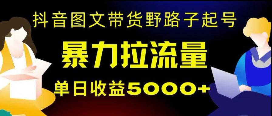 抖音图文带货暴力起号，单日收益5000+，野路子玩法，简单易上手，一部手机即可【揭秘】-云泽轻创网