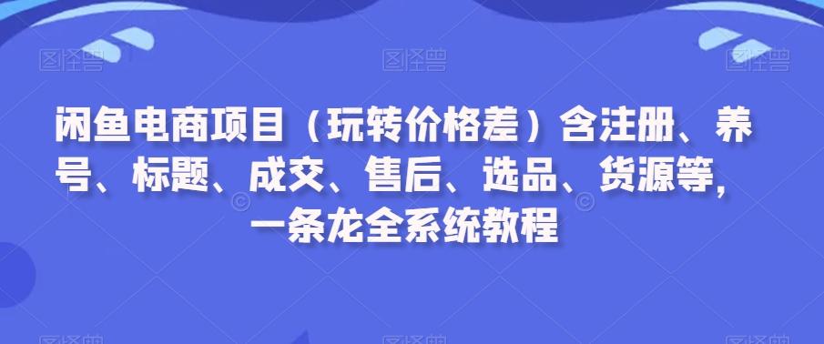 闲鱼电商项目(玩转价格差)含注册、养号、标题、成交、售后、选品、货源等，一条龙全系统教程-云泽轻创网