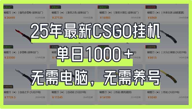 25年最新CSGO挂机系统，单日1000+，无需电脑，无需养号，0基础可上手-云泽轻创网