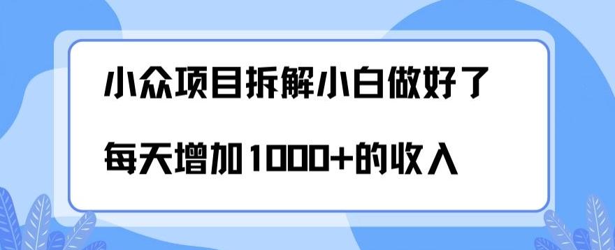 小众项目拆解，小白做好了每天可增加1000多的收入-云泽轻创网