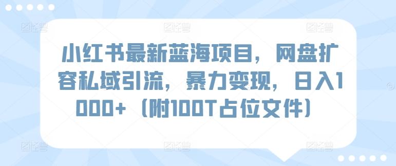 小红书最新蓝海项目，网盘扩容私域引流，暴力变现，日入1000+(附100T占位文件)【揭秘】-云泽轻创网