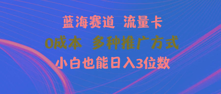 蓝海赛道 流量卡 0成本 小白也能日入三位数-云泽轻创网