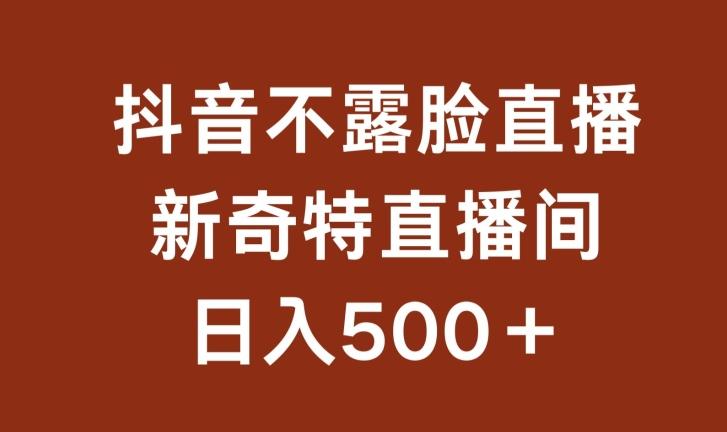 不露脸挂机直播，新奇特直播间，日入500+【揭秘】-云泽轻创网