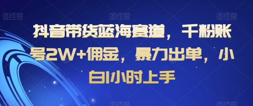 抖音带货蓝海赛道，千粉账号2W+佣金，暴力出单，小白1小时上手【揭秘】-云泽轻创网