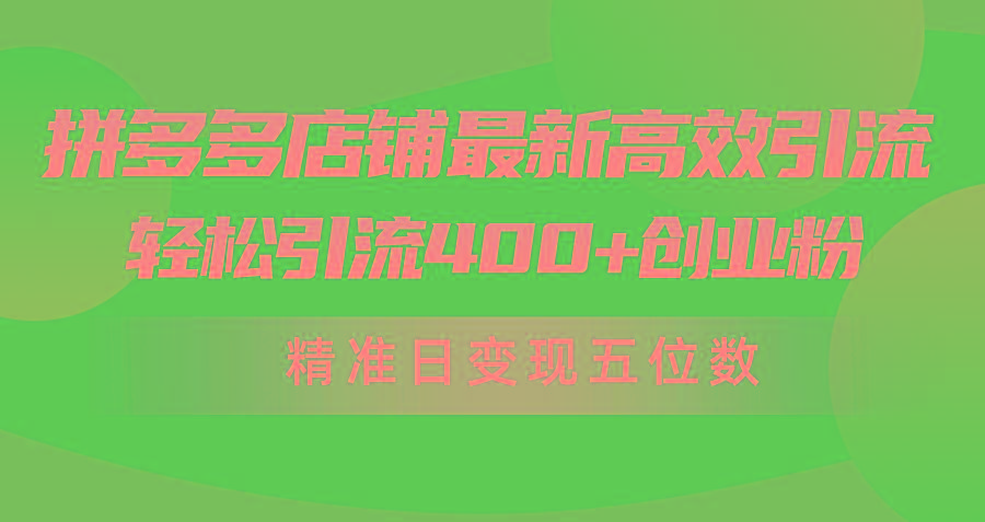 (10041期)拼多多店铺最新高效引流术，轻松引流400+创业粉，精准日变现五位数！-云泽轻创网