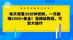 每天观看30分钟视频，一月躺赚1000+美金！保姆级教程，可放大操作【揭秘】-云泽轻创网