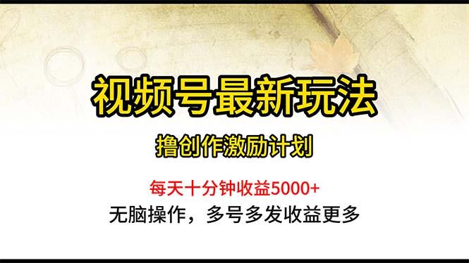 视频号最新玩法，每日一小时月入5000+-云泽轻创网