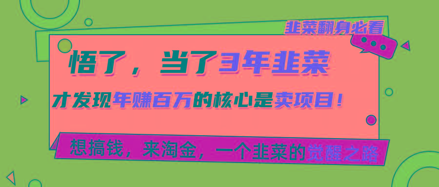 悟了，当了3年韭菜，才发现网赚圈年赚100万的核心是卖项目，含泪分享！-云泽轻创网
