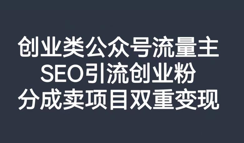 创业类公众号流量主，SEO引流创业粉，分成卖项目双重变现【揭秘】-云泽轻创网