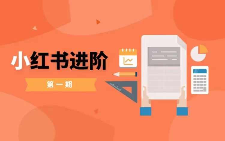 小红书进阶篇，零基础小白实战课，普通人变现的课程-云泽轻创网
