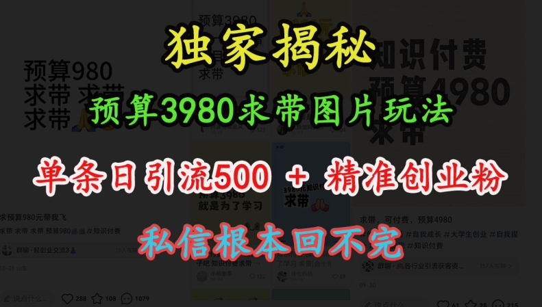 预算3980求带 图片玩法，单条日引流500+精准创业粉，私信根本回不完-云泽轻创网