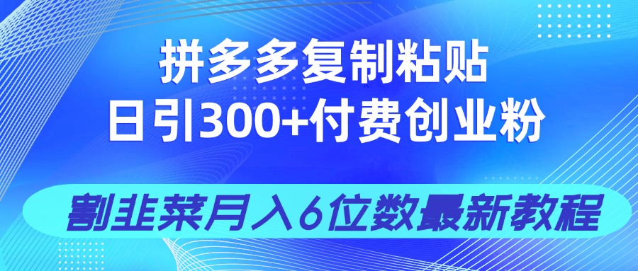 拼多多复制粘贴日引300+付费创业粉，割韭菜月入6位数最新教程！-云泽轻创网