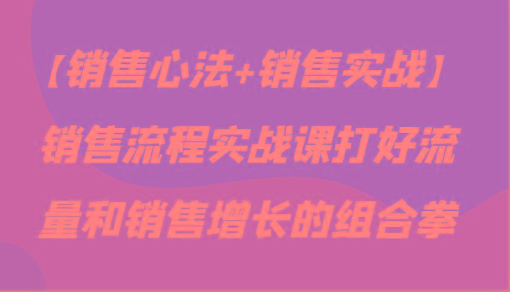 【销售心法+销售实战】销售流程实战课打好流量和销售增长的组合拳-云泽轻创网