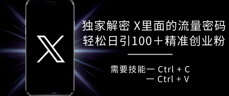 独家解密 X 里面的流量密码，复制粘贴轻松日引100+-云泽轻创网