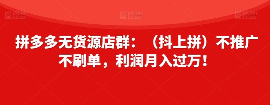 拼多多无货源店群：（抖上拼）不推广不刷单，利润月入过万！【揭秘】-云泽轻创网