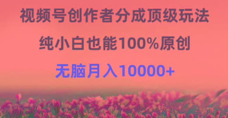 (9608期)视频号创作者分成顶级玩法，纯小白也能100%原创，无脑月入10000+-云泽轻创网
