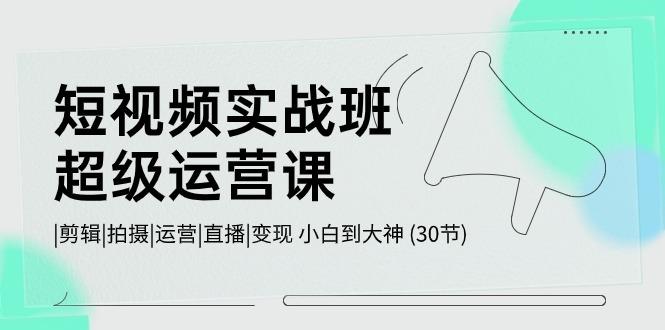 短视频实战班超级运营课 |剪辑|拍摄|运营|直播|变现 小白到大神 (30节)-云泽轻创网