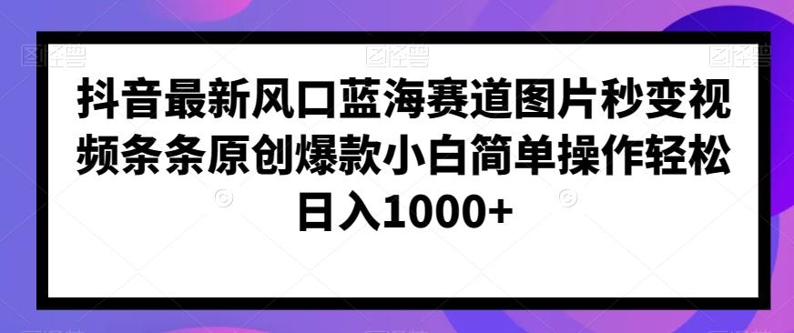 抖音最新风口蓝海赛道图片秒变视频条条原创爆款小白简单操作轻松日入1000+-云泽轻创网