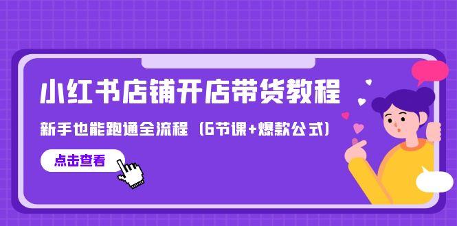 (9883期)最新小红书店铺开店带货教程，新手也能跑通全流程(6节课+爆款公式)-云泽轻创网