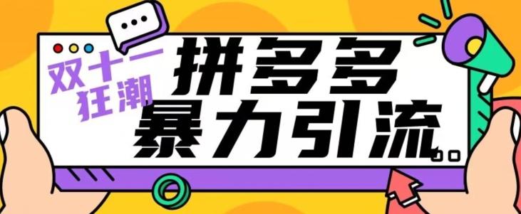 【首发】双十一拼多多暴力引流，日引300+微信-云泽轻创网