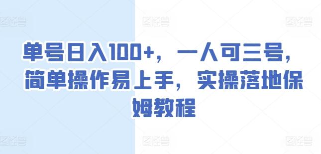 单号日入100+，一人可三号，简单操作易上手，实操落地保姆教程【揭秘】-云泽轻创网