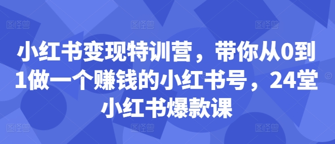 小红书变现特训营，带你从0到1做一个赚钱的小红书号，24堂小红书爆款课-云泽轻创网
