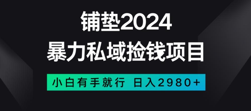 暴力私域捡钱项目，小白无脑操作，日入2980【揭秘】-云泽轻创网