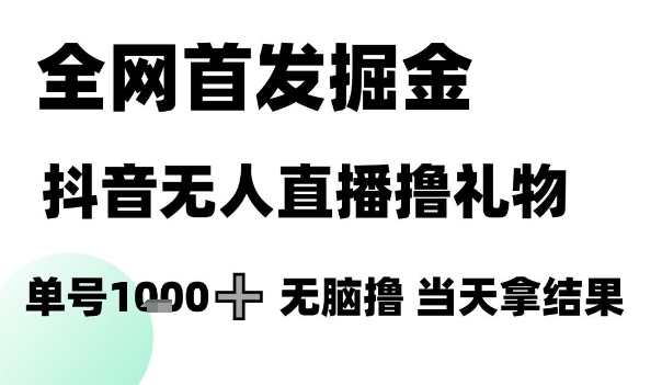 全网首发掘金抖音无人直播撸礼物，单号1k +无脑撸，当天拿结果【揭秘】-云泽轻创网